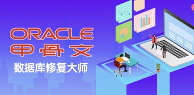 Oracle數(shù)據(jù)庫恢復(fù)工具